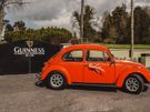 VW Vintage Beetle Image 7