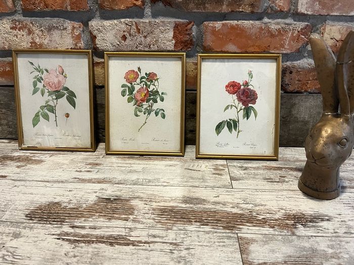 vintage pictures
