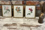 vintage pictures