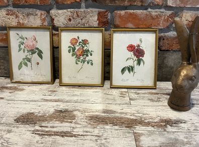 vintage pictures