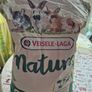 rabbit Image 9