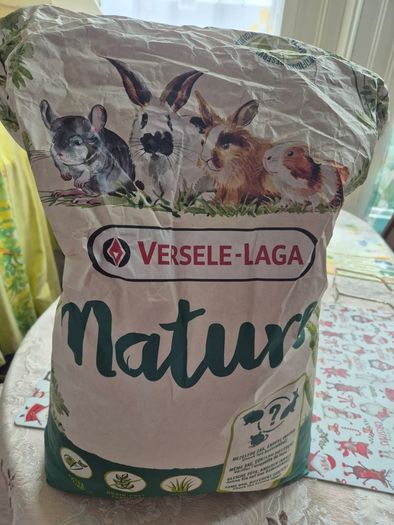 rabbit