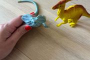 Dinosaur collection for kids
