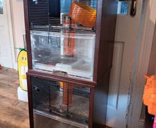 Two gerbil tanks