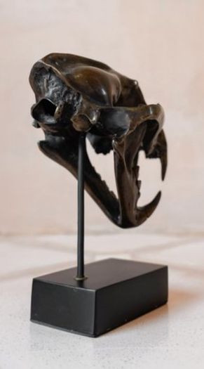 Sumatran Tiger Skull - Bronze, Metal/Wooden Stand