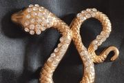 A striking snake-shaped brooch.
