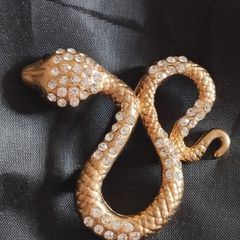 A striking snake-shaped brooch.