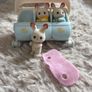 sylvanian Image 5