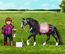 Lori Black Irish Draught Horse