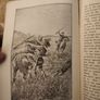 Red Cloud. A Tale Of The Great Prairie. By Sir William F. Butler G.c.b. 1920s Paperback In Fair Condition. See Photos For Condition. Image 7