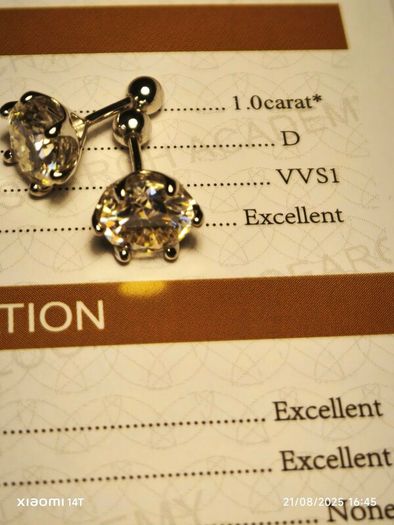 1 carat + 1 carat Moissanite Solitaire Stud Earrings