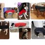 6XL Winter Dog Jacket Image 7