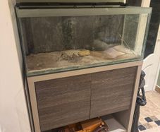 Large glass tank with matching storage cabinet stand