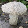 granite mushrooms Image 6