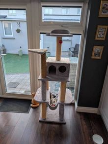 Cat Tree