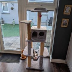 Cat Tree