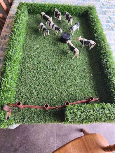 Cow Field