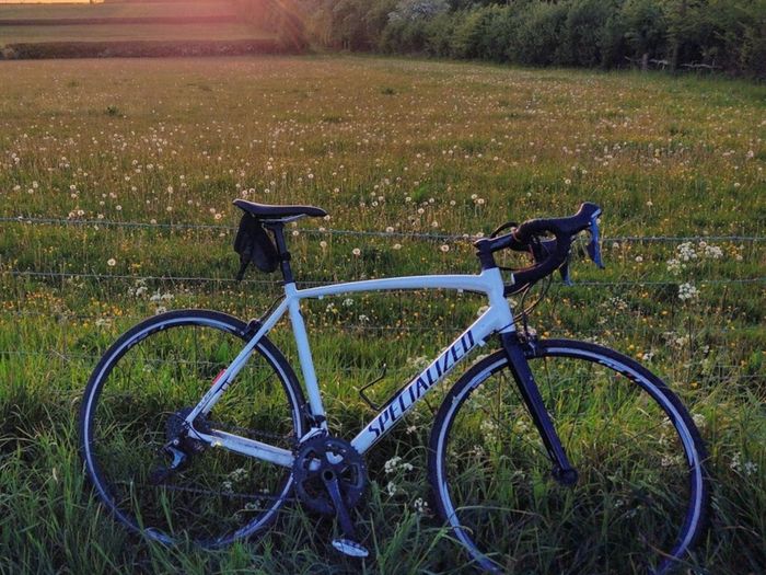 Specialized Allez Road Bike 56cm