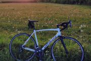 Specialized Allez Road Bike 56cm