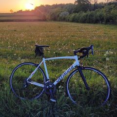 Specialized Allez Road Bike 56cm