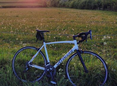 Specialized Allez Road Bike 56cm