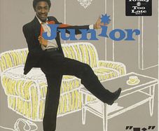 Junior Ji lp (for fans of Prince, Stevie Wonder, MJ)