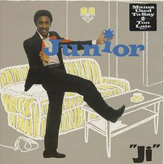 Junior Ji lp (for fans of Prince, Stevie Wonder, MJ)