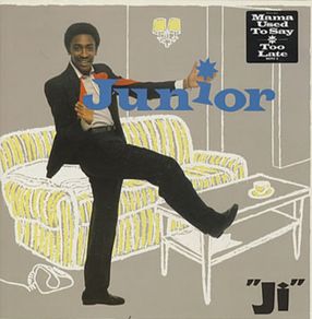 Junior Ji lp (for fans of Prince, Stevie Wonder, MJ)