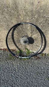 Rear & Front wheels of bicycle