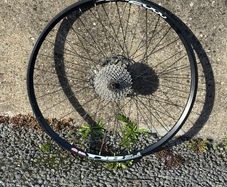 Rear & Front wheels of bicycle