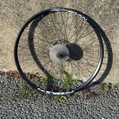 Rear & Front wheels of bicycle