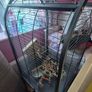 bird cage Image 2