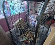 bird cage