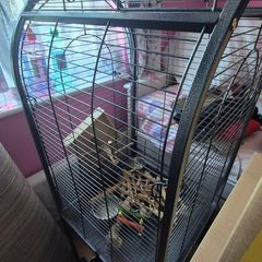 bird cage