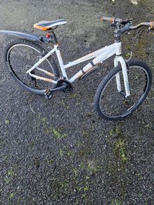 Ladies Bicycle