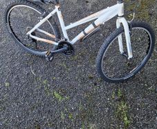 Ladies Bicycle