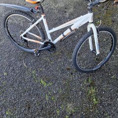 Ladies Bicycle