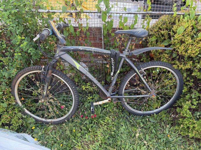 Bike