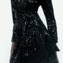 Zara Velvet Blazer Dress Image 2