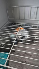 metal double bed