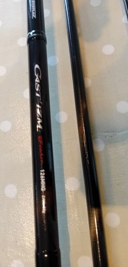 Daiwa Castizm