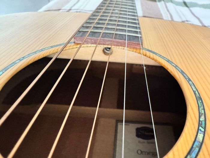 Maestro Elite Series Omega All Solid Acoustic Guitar