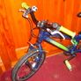boy bycycle Image 2