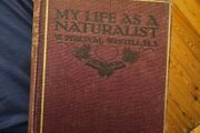 My Life As A Naturalistic. By W. Percival Westell. First Edition 1918 Hardback In Fair Condition.  See Photos For Same.