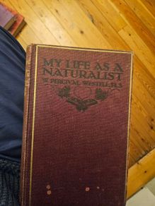 My Life As A Naturalistic. By W. Percival Westell. First Edition 1918 Hardback In Fair Condition.  See Photos For Same.