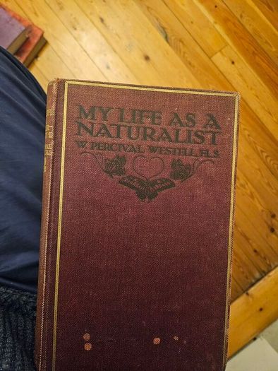 My Life As A Naturalistic. By W. Percival Westell. First Edition 1918 Hardback In Fair Condition.  See Photos For Same.