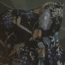 Beautiful Blouse. New with Tags Image 6