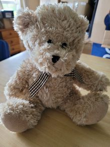 Teddy Bear Soft Toy Plush Like New 12" Bear