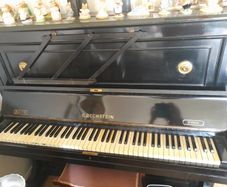 free genuine Bechestein piano