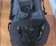 Small Dog: dog house, carrier bag, basket and crate